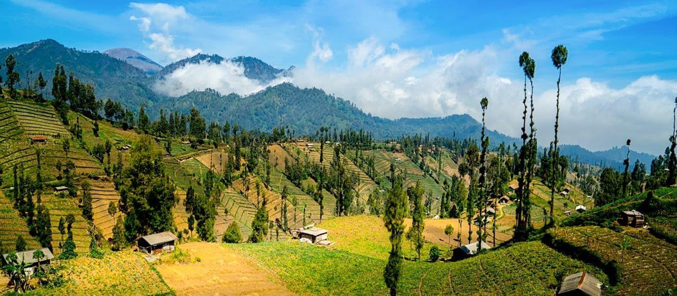 ブロモ山の雲の上のンガダス、セレーヌ村、東ジャワ