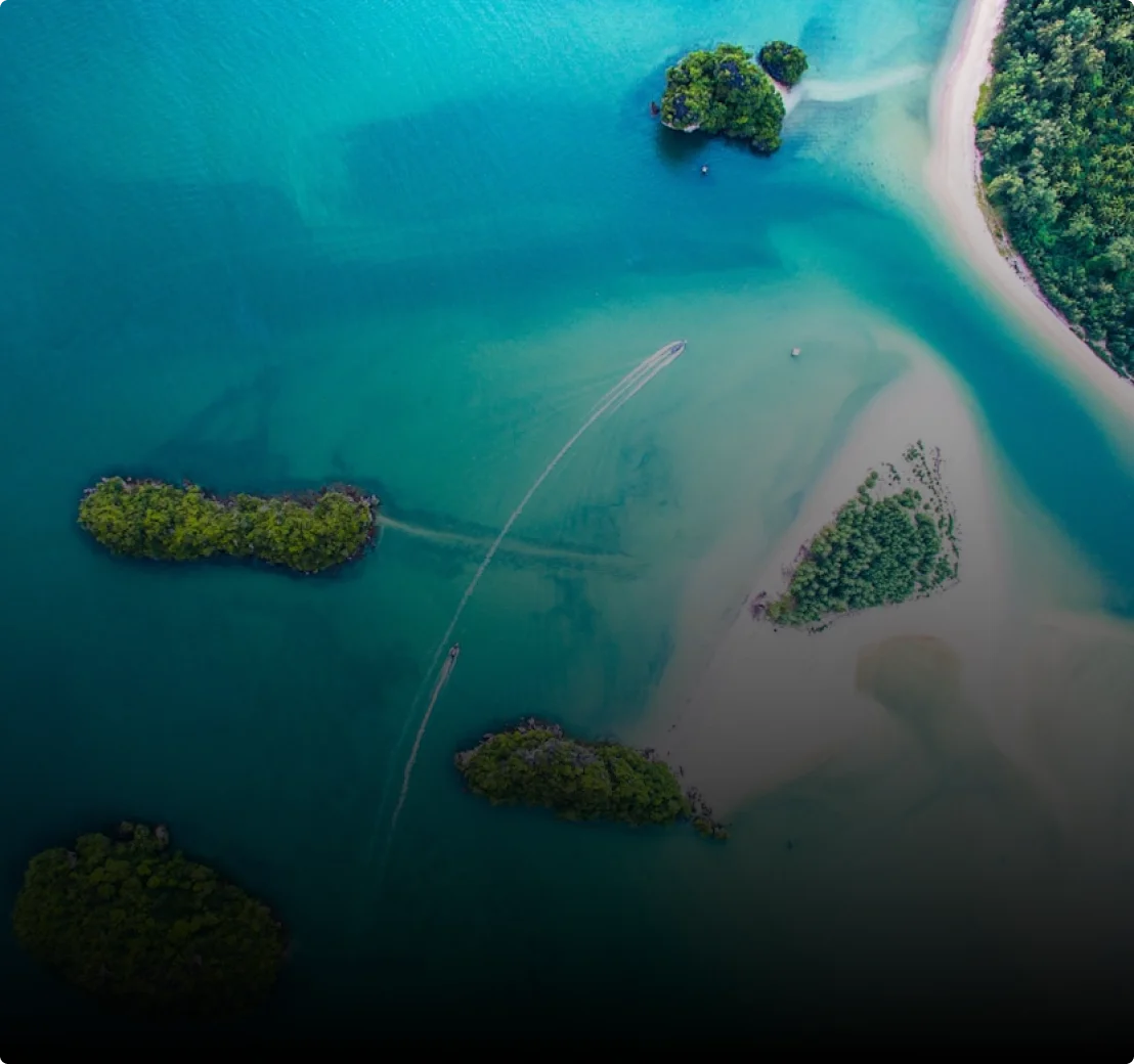 Government Efforts to Support Growth