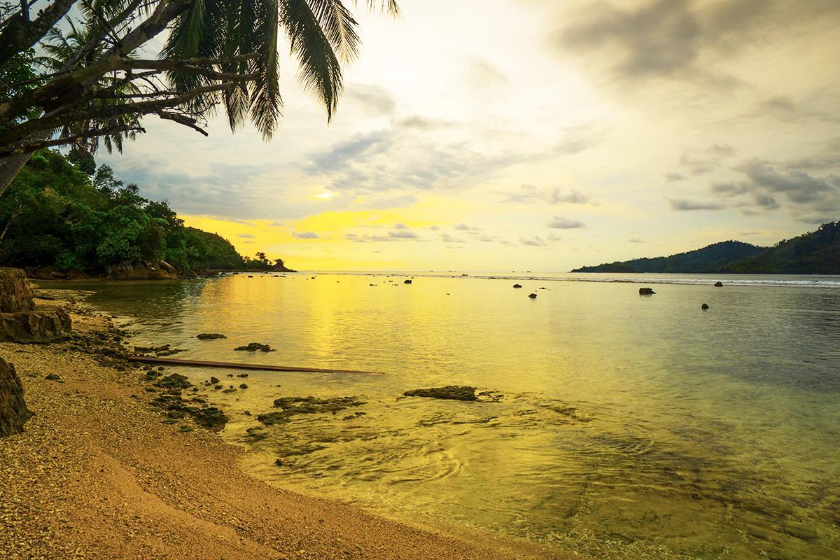 The Latest Status of the Evacuation Process for Tourists Following the Eruption of Mount Lewotobi