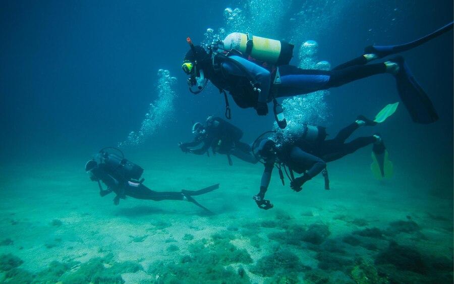 Diving Cendrawasih Bay