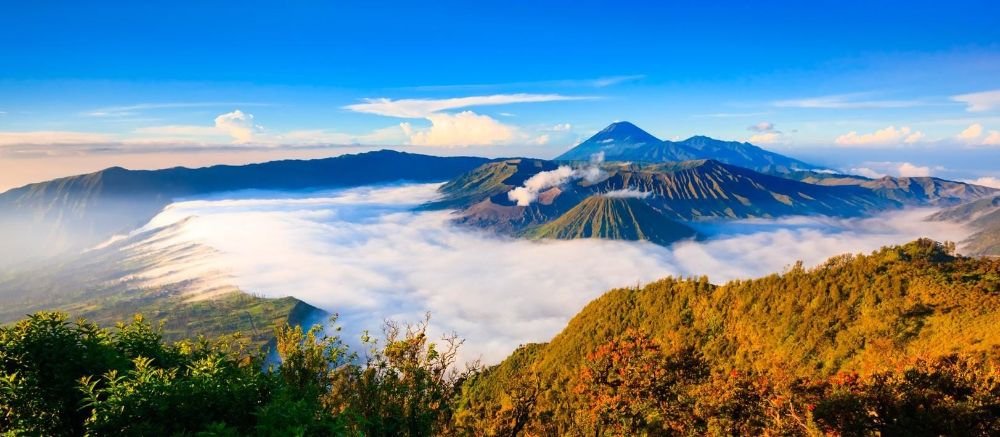Homestays in Exciting East Java: Bromo–Ijen, Malang, Banyuwangi