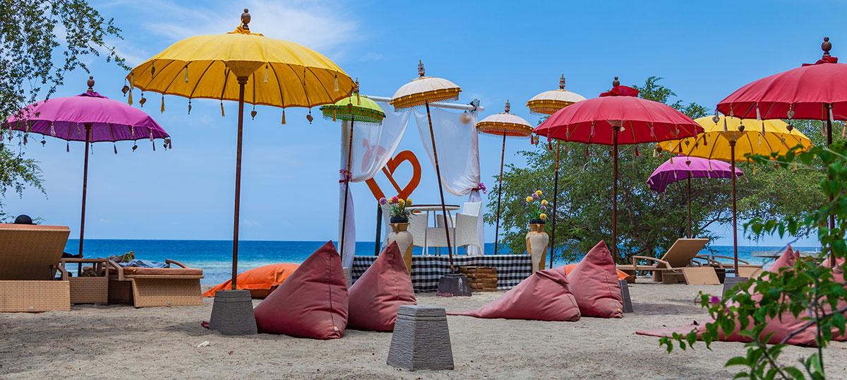 為令人震驚之的利群島之羅曼蒂克感到驚訝