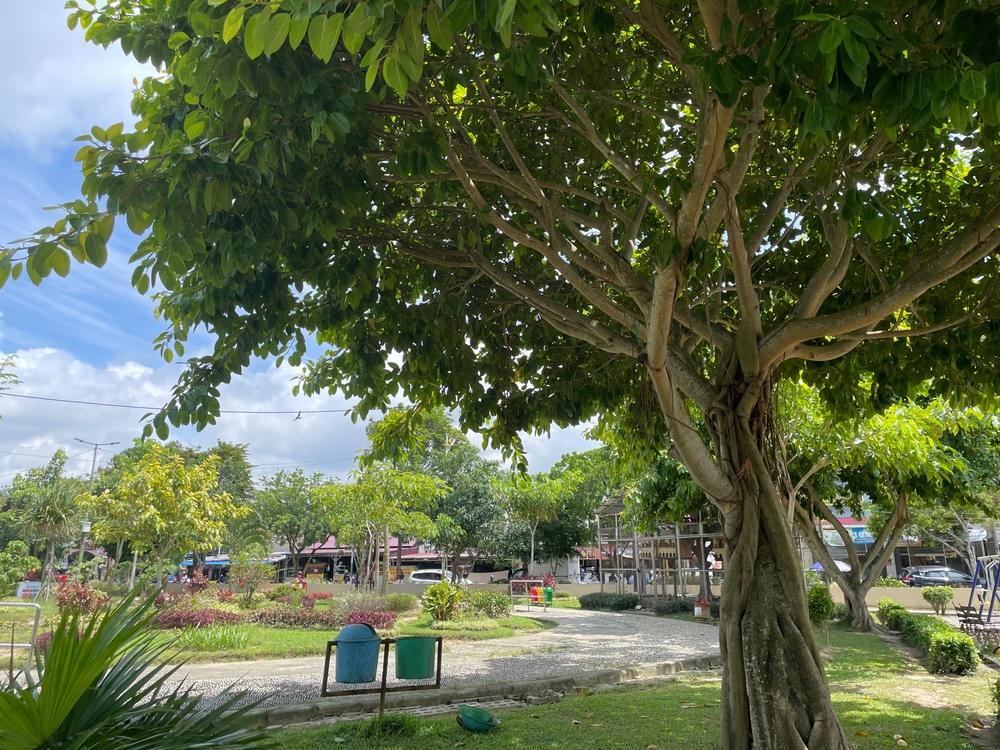 Taman Telaga Gorontalo: Pesona Alam yang Menyejukkan