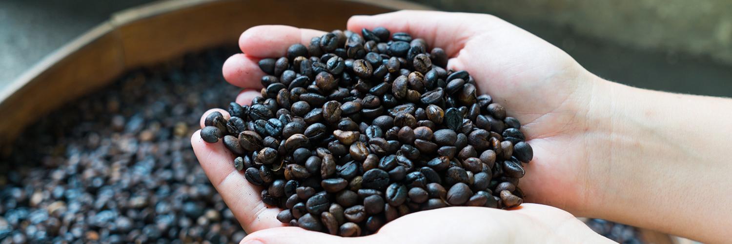 The Latest Status of the Evacuation Process for Tourists Following the Eruption of Mount Lewotobi