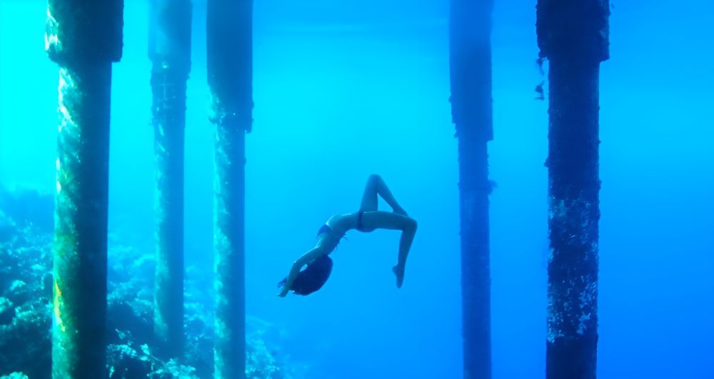 沉浸在神奇的魔幻之地: 在WAKATOBI 與上千隻魚共同潛水