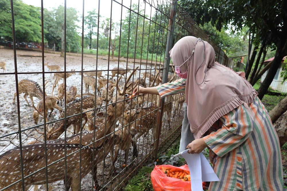Kandang Penangkaran Rusa, Tempat Konservasi Unik di Makassar