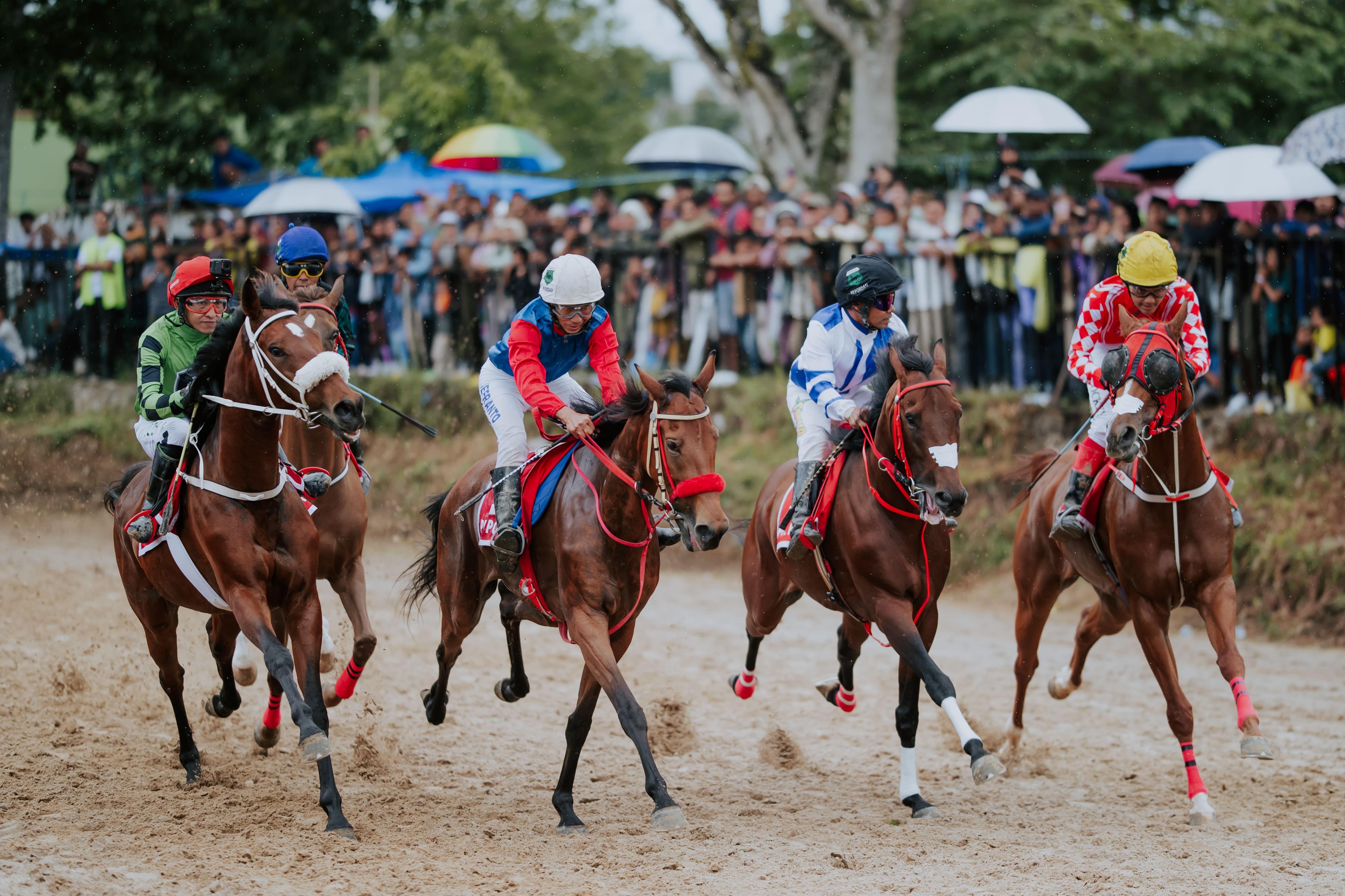 Indonesia's Horse Racing Series (IHR) Cup