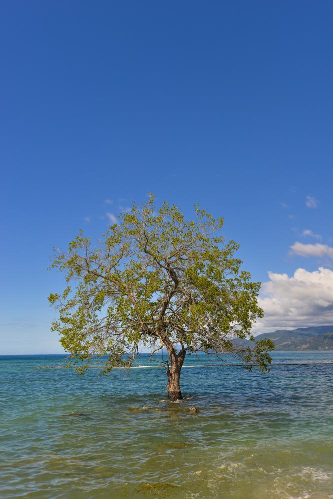Pantai Mali, Keindahan Alam Alor yang Menakjubkan