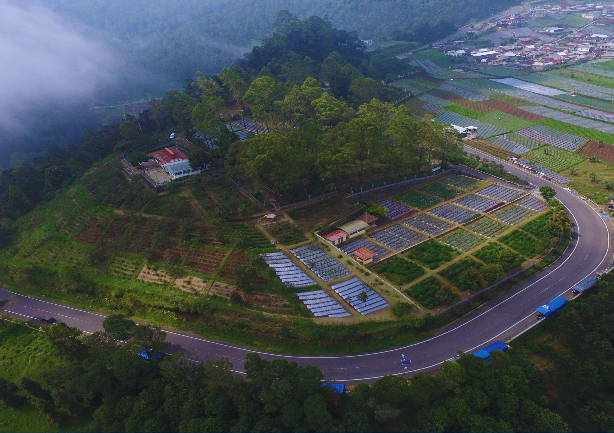 Rumah Riset Jamu Hortus Medicus: Pusat Herbal di Tanah Jawa 