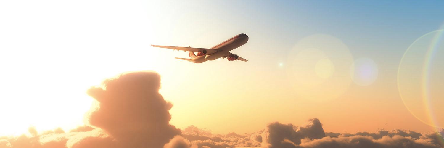 前往印度尼西亚