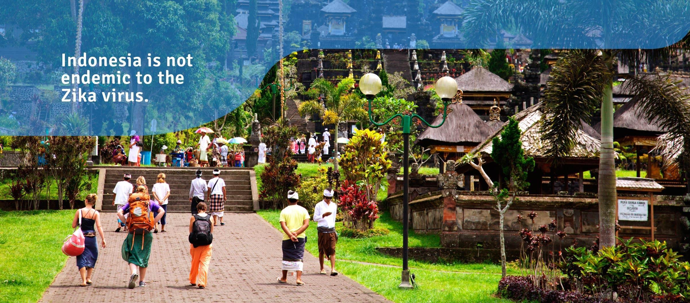The Latest Status of the Evacuation Process for Tourists Following the Eruption of Mount Lewotobi