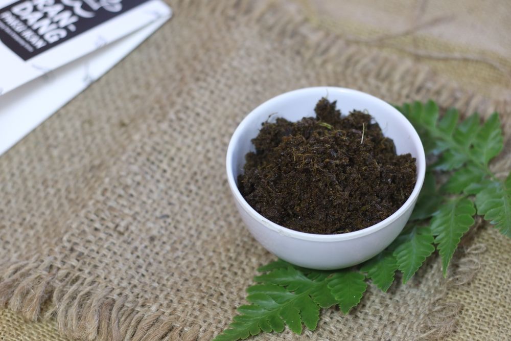 Rendang Paku: Olahan Sayur Khas Minang yang Lezat