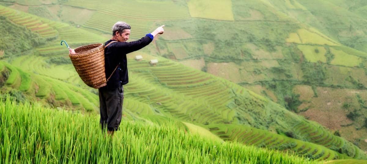 跟随奥巴马的假期：计划您最好的巴厘家庭旅行