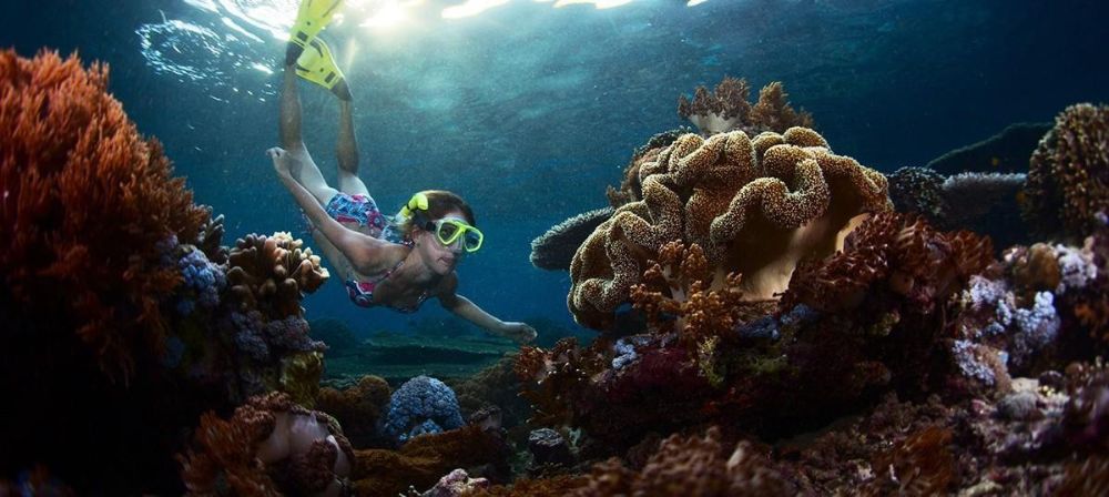 The Latest Status of the Evacuation Process for Tourists Following the Eruption of Mount Lewotobi