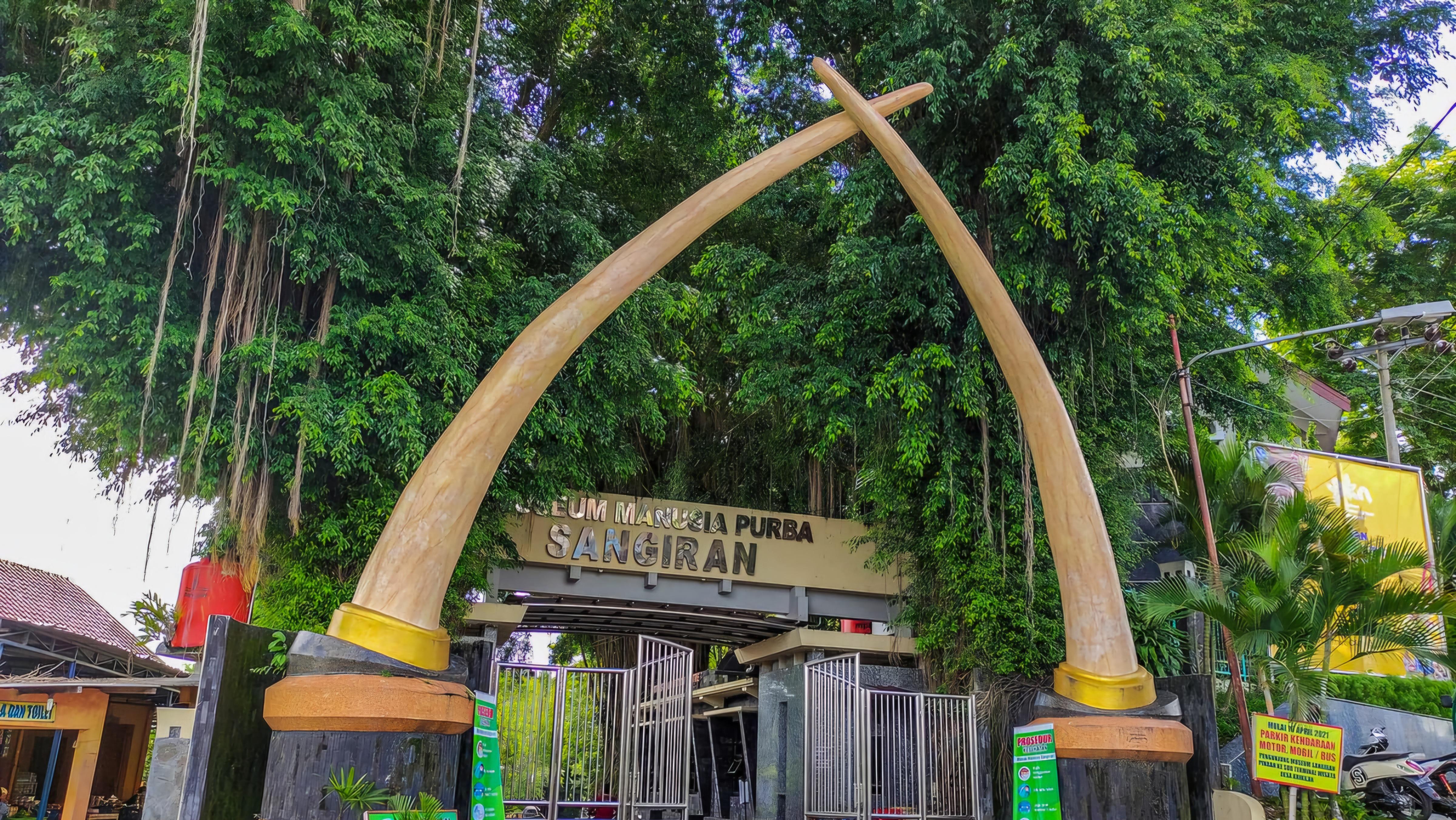 The Latest Status of the Evacuation Process for Tourists Following the Eruption of Mount Lewotobi