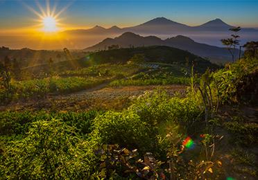7 Destinations Captivantes autour de Borobudur à Découvrir à Pied