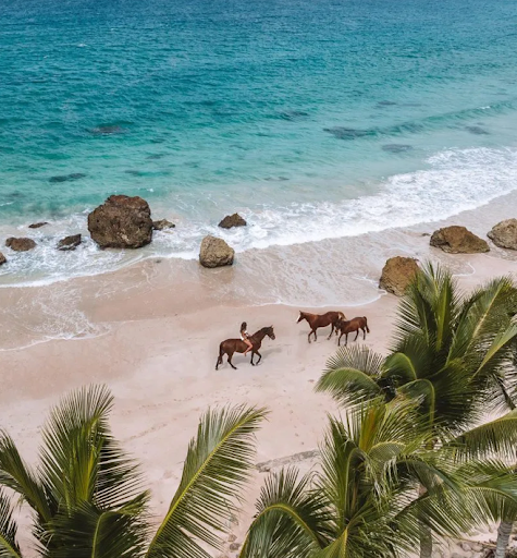 敢称印尼“最”神秘的海岛，是哪一座？