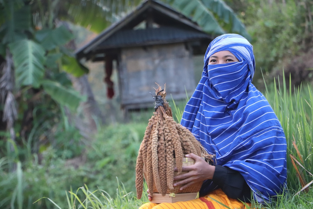 Pakaian Rimpu
