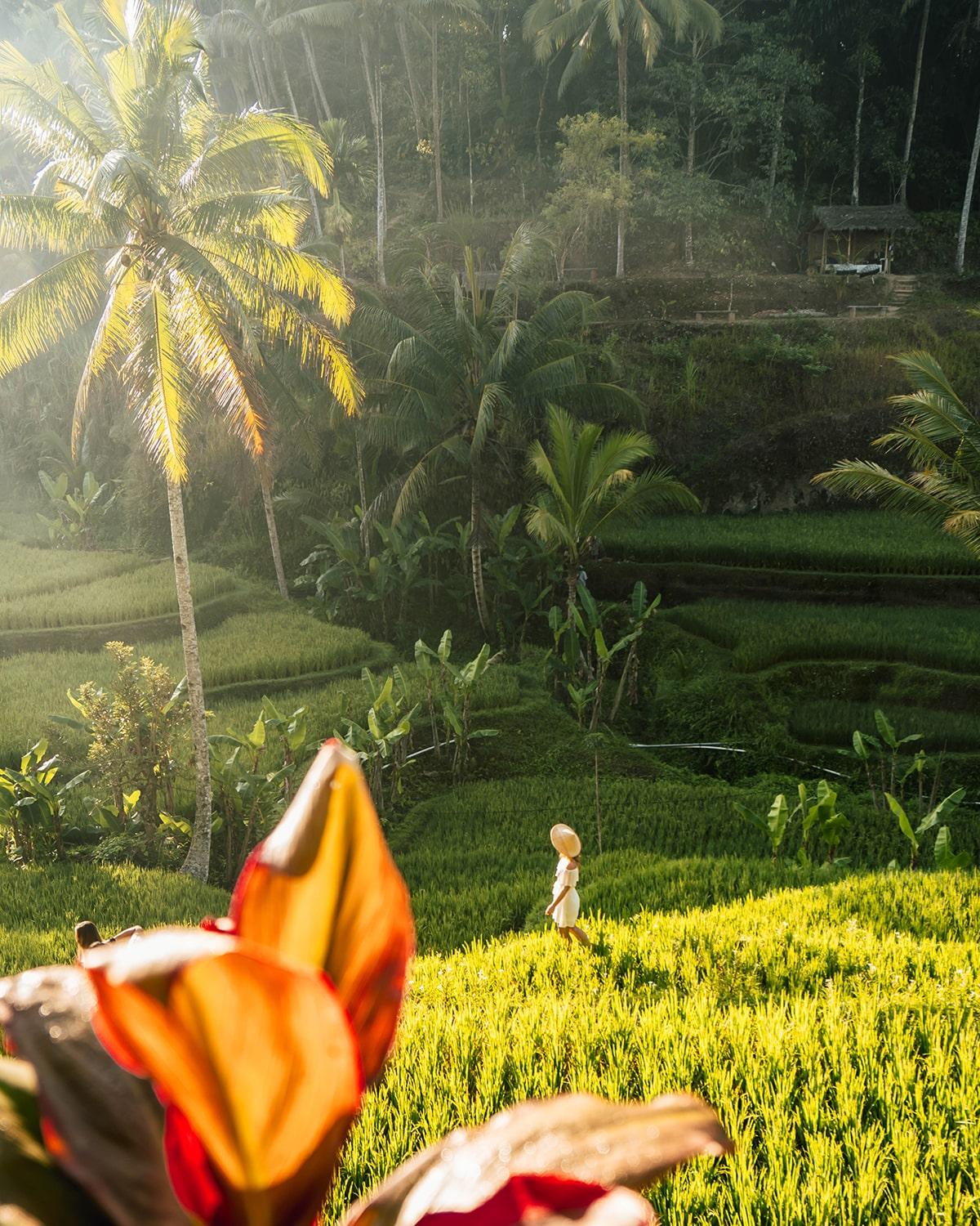 hero image for travel ideas detail