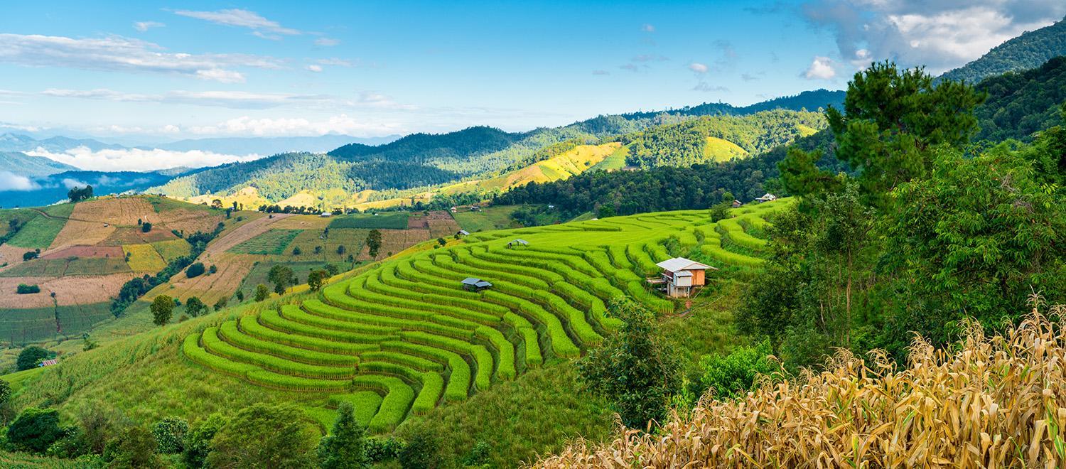 The Latest Status of the Evacuation Process for Tourists Following the Eruption of Mount Lewotobi