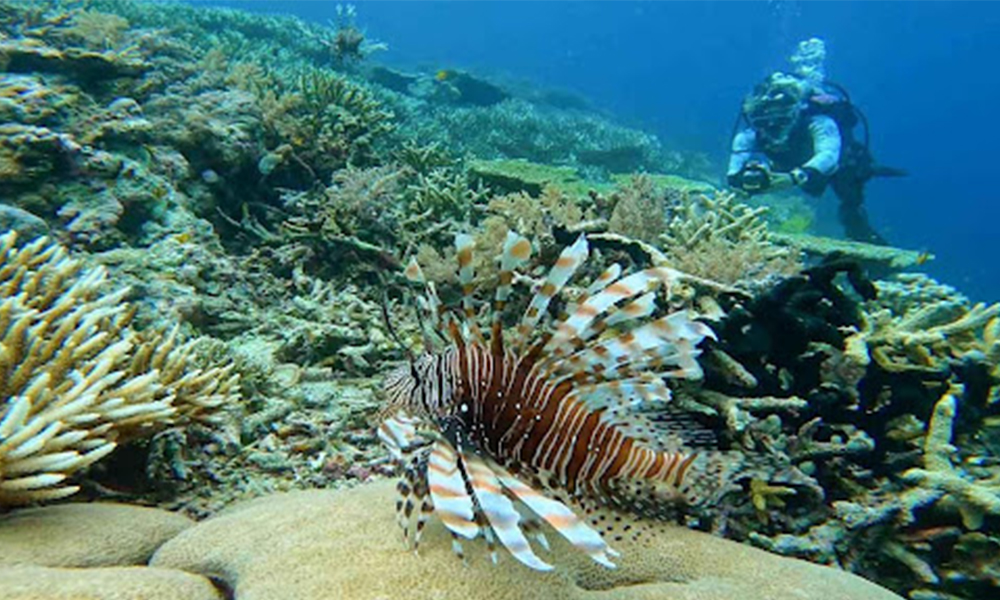 liburan ke labuan bao