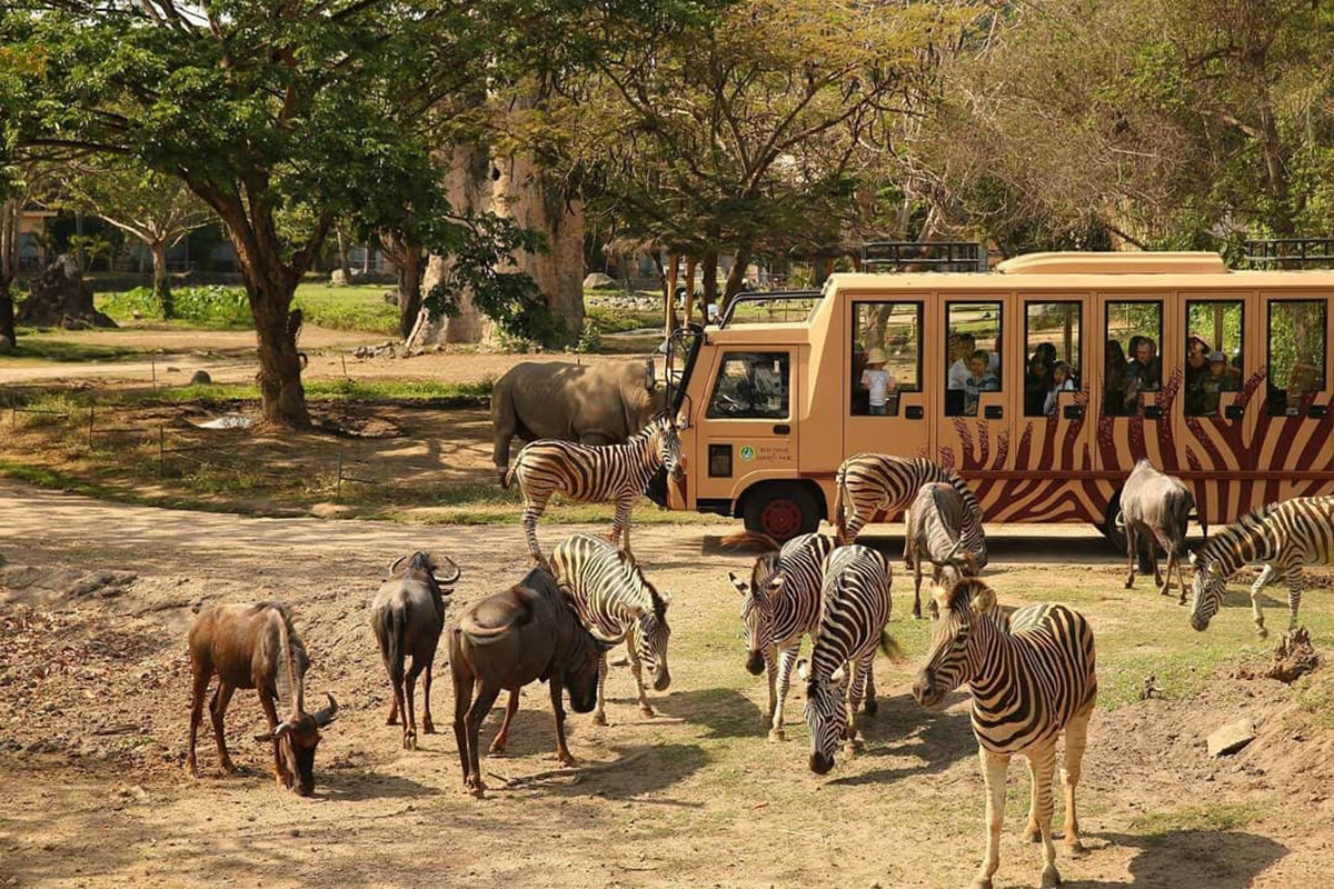 在您下次访问印尼时体验这些Safari探险之旅