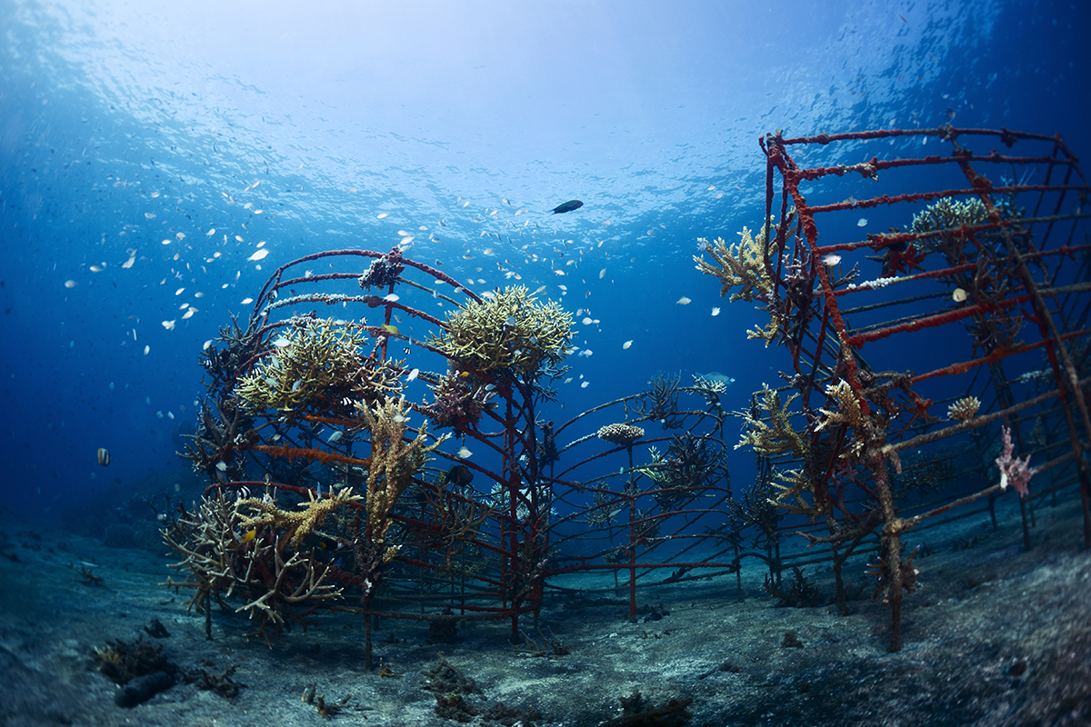 underwater