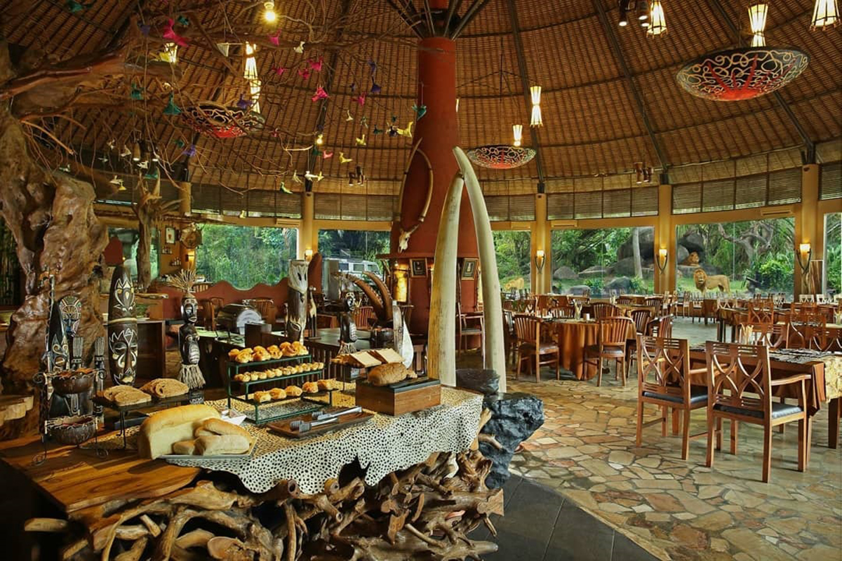 在您下次访问印尼时体验这些Safari探险之旅