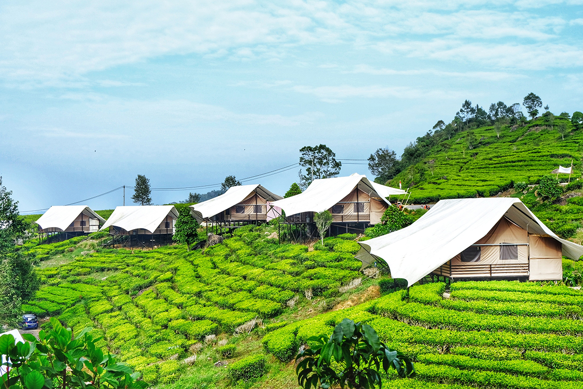 Glamping Lakeside Rancabali in Ciwidey, West Java, small cottages, tea plantation on a hill, several green trees