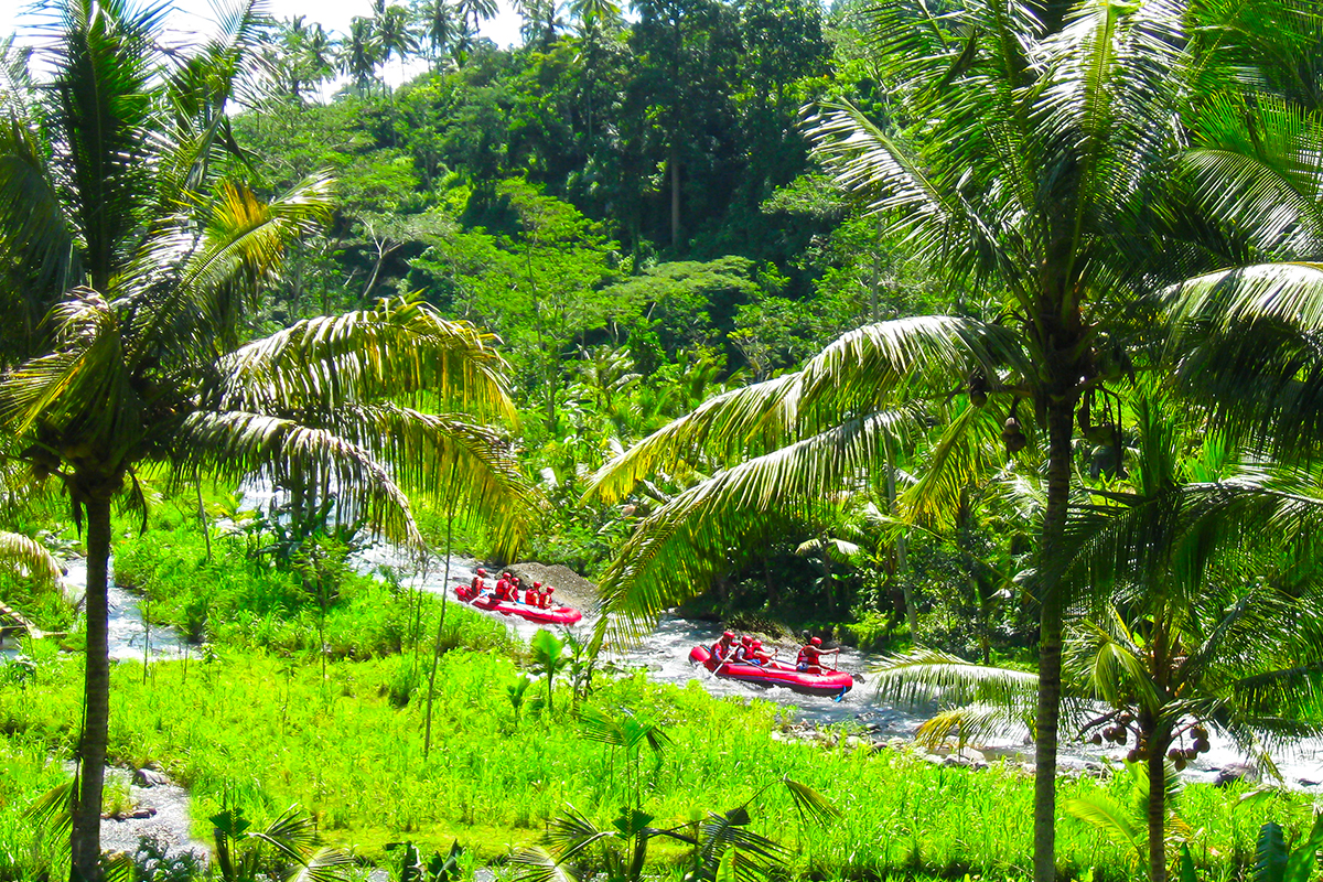 ayung-ubud