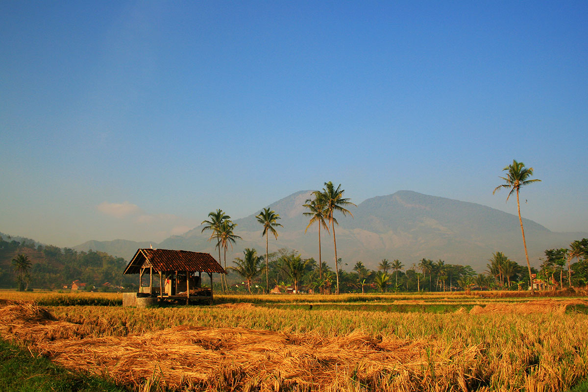 gunung