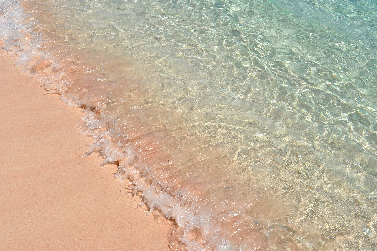 Perfect day exploring Komodo national park – Natural World Wonder