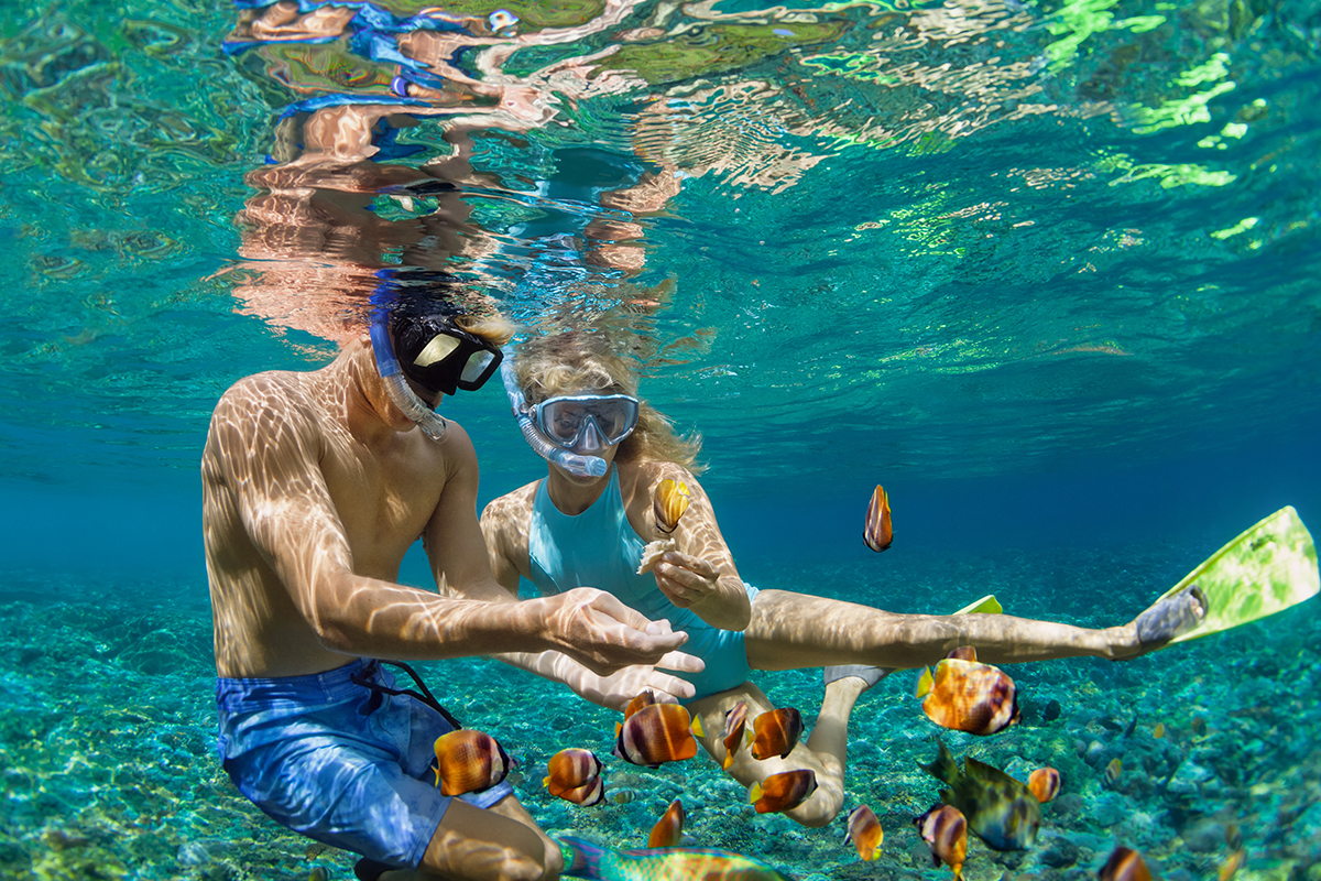Snorkeling dengan spesies laut di lautan Bali