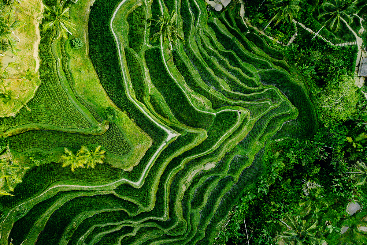 liburan di bali
