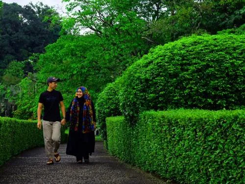 Savouring the Nature&rsquo;s Grandeur of Bogor Botanical Garden