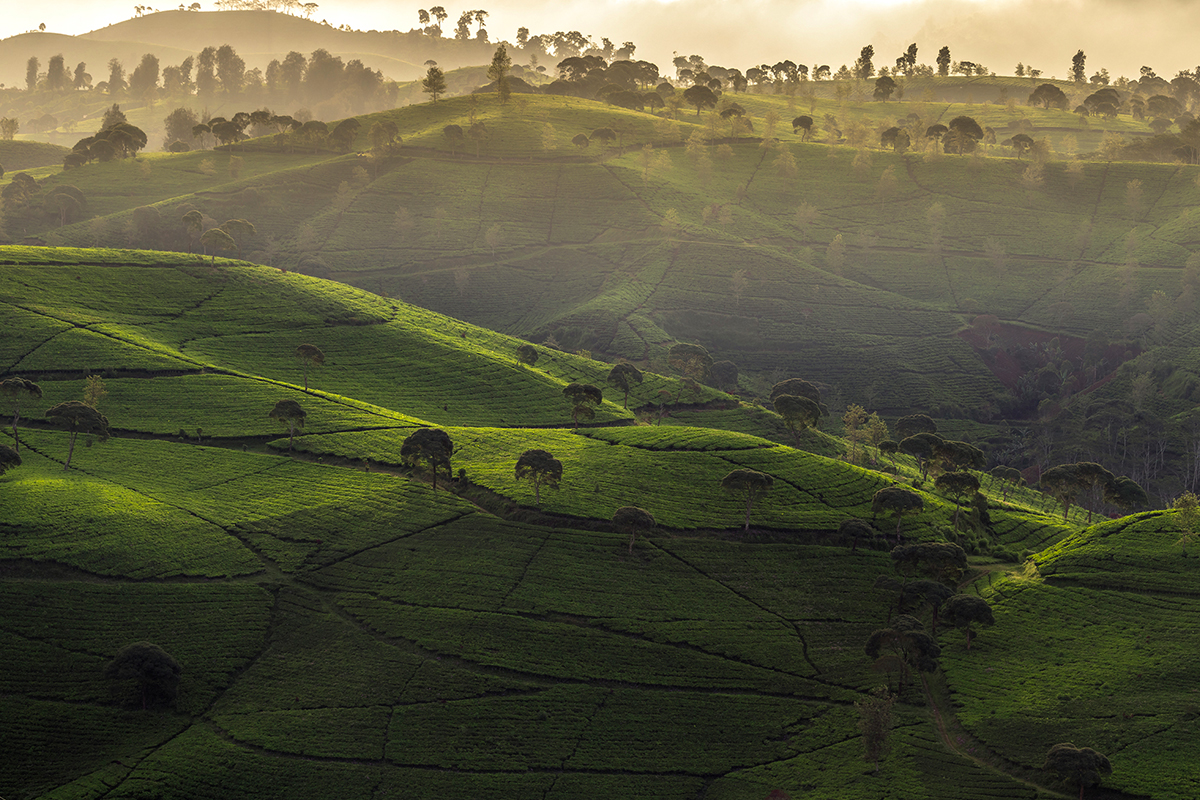 beyond java