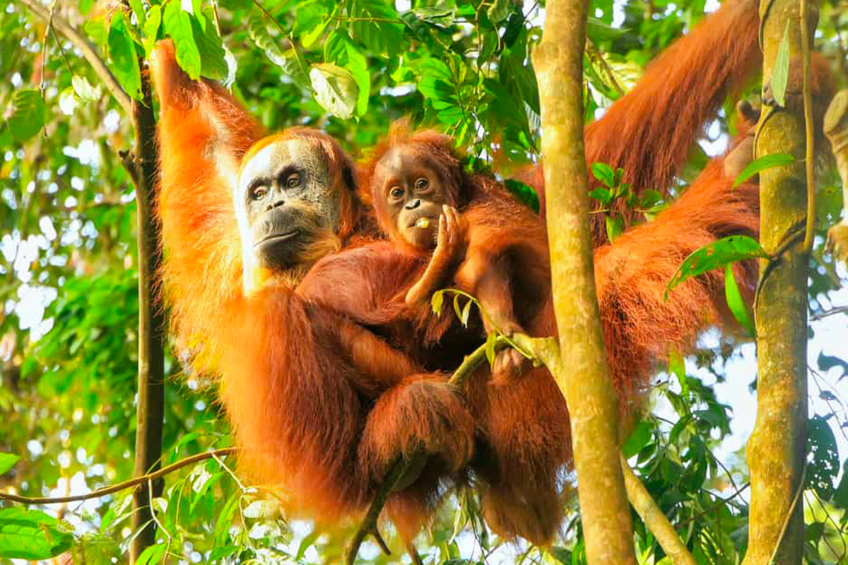 ecotourism