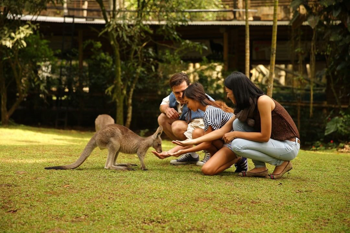 在您下次访问印尼时体验这些Safari探险之旅