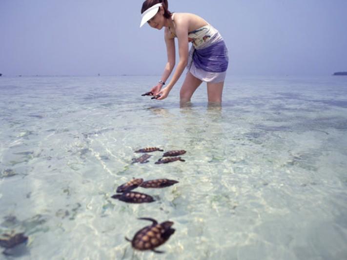 10 Islands to Plunge into in Jakarta&lsquo;s Thousand Islands