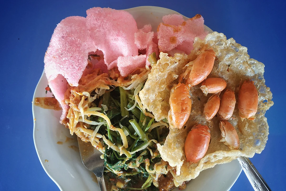 yutuk.