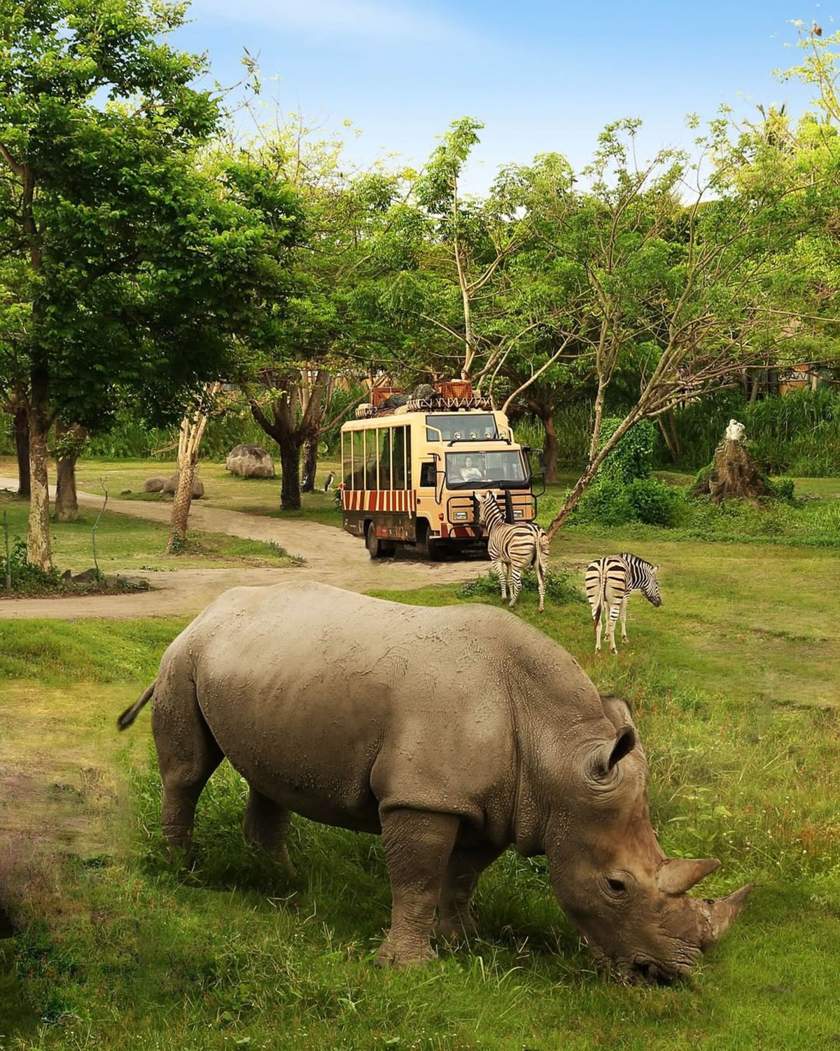 在您下次访问印尼时体验这些Safari探险之旅