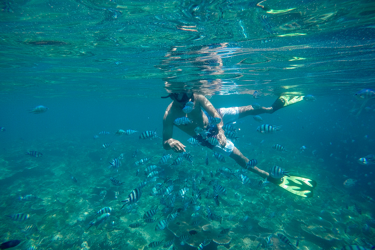 pulau-kepayang