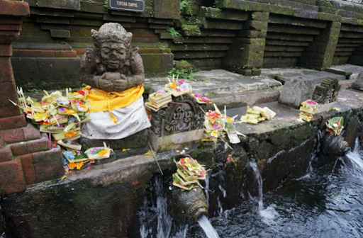 113