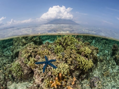 KOMODO TRAVEL MART 2017: &ldquo;EXPLORE THE DIVERSITY OF EAST NUSA TENGGARA&rdquo;
