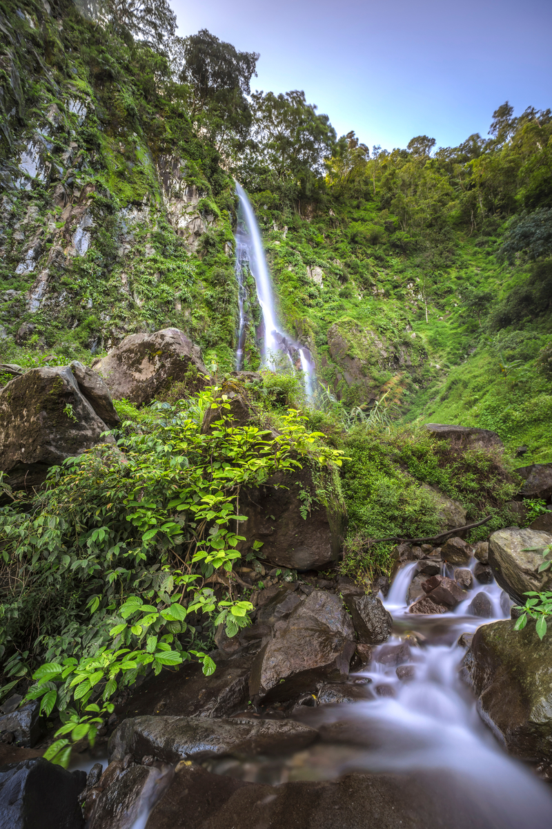 pemandangan alami di air terjun Benowo