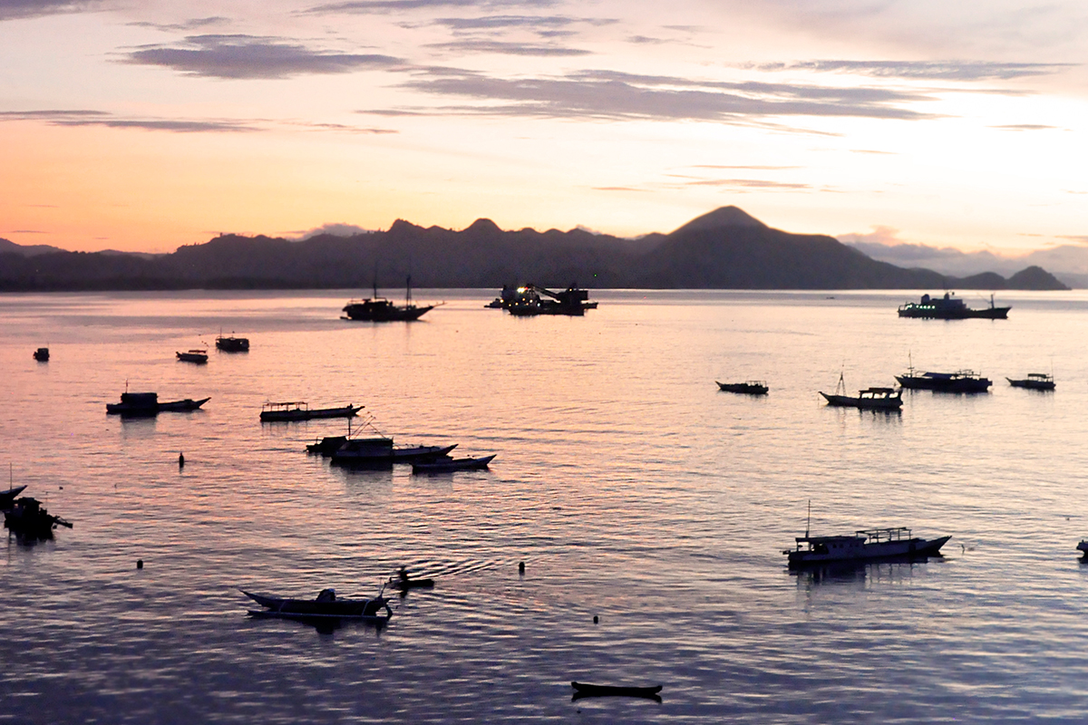 Perfect day exploring Komodo national park – Natural World Wonder