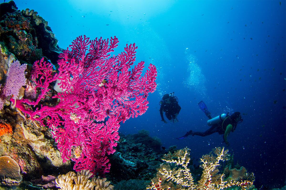 underwater