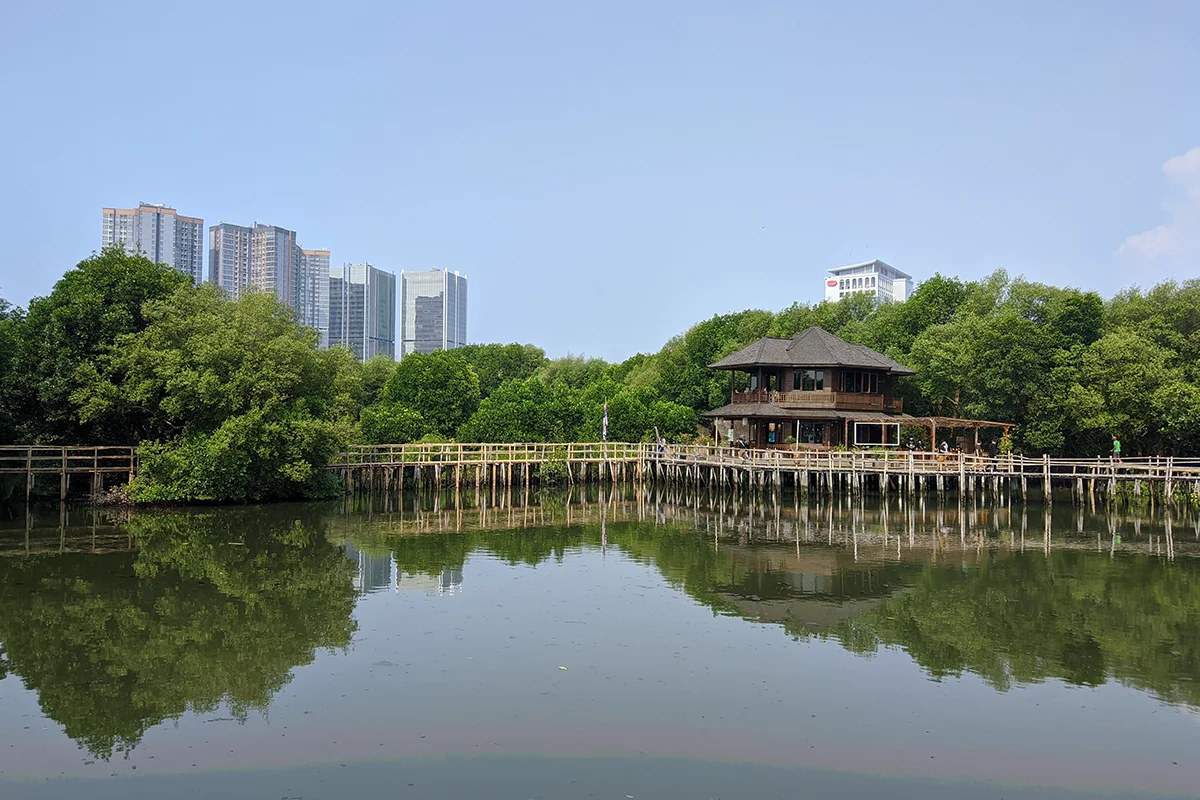 mangrove-pik