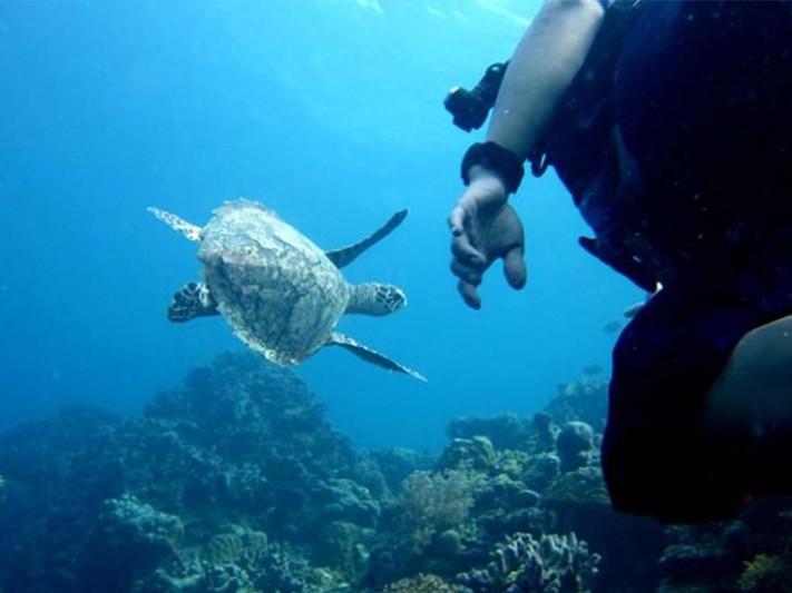 10 Islands to Plunge into in Jakarta&lsquo;s Thousand Islands