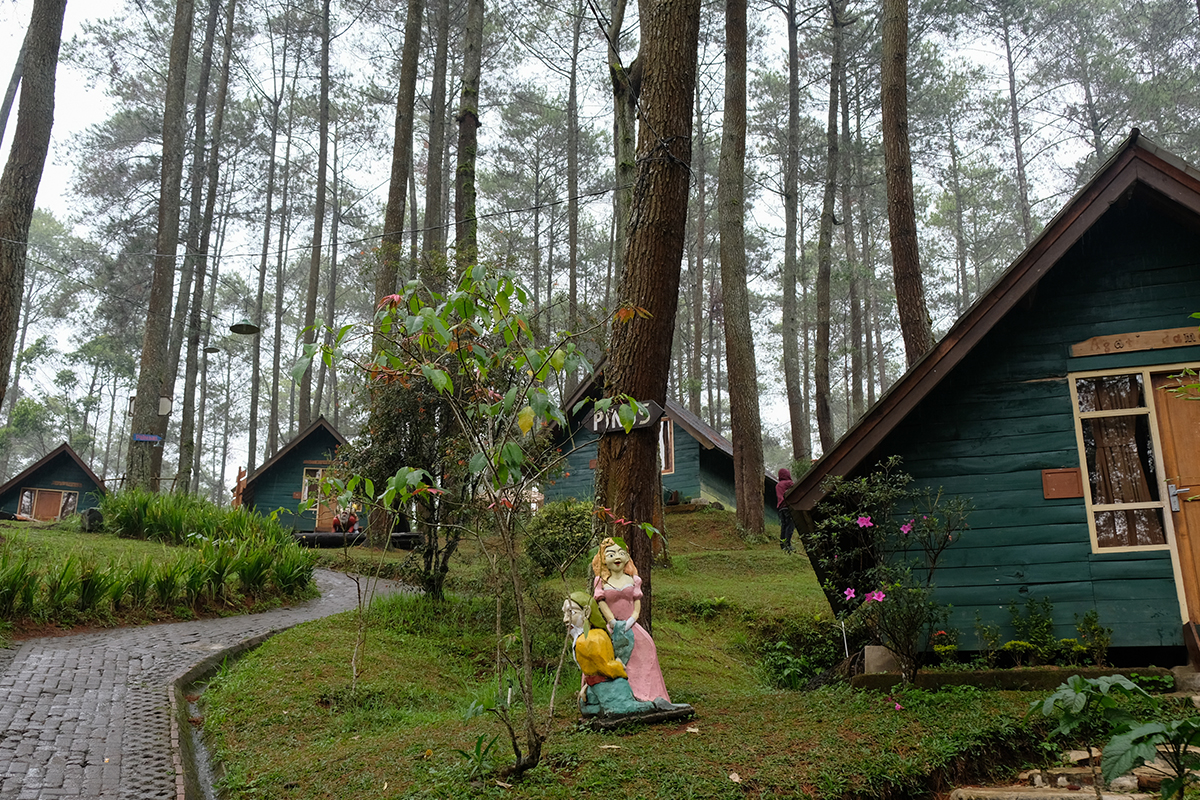 grafika cikole